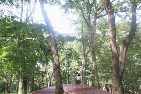 鈴木康広×中村製作所「屋根のベンチ」が井の頭公園へ
