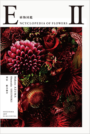 新刊案内 東信 著『ENCYCLOPEDIA OF FLOWERS II 植物図鑑』