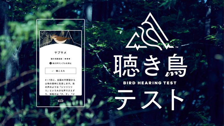 パナソニックによる難聴の早期発見を啓発するWebサービス 「聴き鳥テスト」がスタート