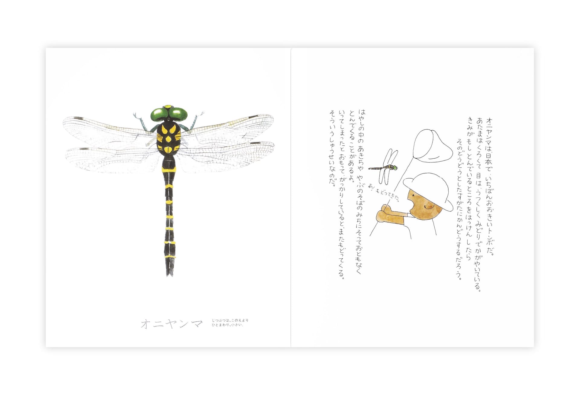 戸田デザイン研究室による昆虫の魅力を伝えるロングセラー絵本 昆虫とあそぼう 18年も販売 Webマガジン Axis デザインのwebメディア 戸田デザイン研究室による昆虫の魅力を伝えるロングセラー絵本 昆虫とあそぼう 18年も販売 Webマガジン Axis デザインのwebメディア