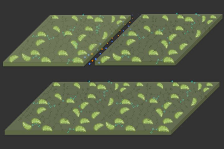 MITが自己修復する素材を研究中 空気中の二酸化炭素と反応して自ら強固に！？