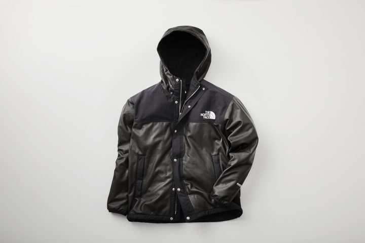 THE NORTH FACE  GTX PAMIR JACKET 2018