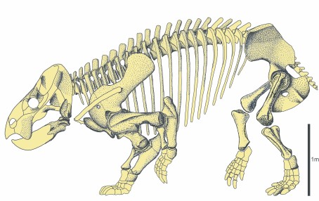 ウプサラ大学の研究者がディキノドン類の新種を発見 三畳紀に存在した巨大な哺乳動物の祖先