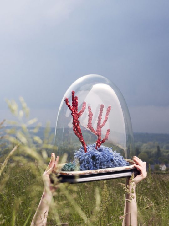 フランス出身の造形アーティスト Aude Bourgine 人工サンゴで環境破壊への危惧を表現