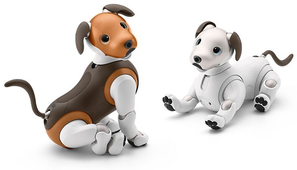 ソニーのaibo 再発売1周年記念 特別モデル「aibo チョコ エディション」登場