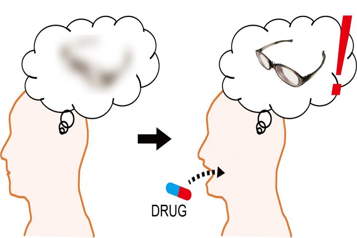 忘れた記憶を復活させる薬が発見 脳内のヒスタミン神経系を活性化