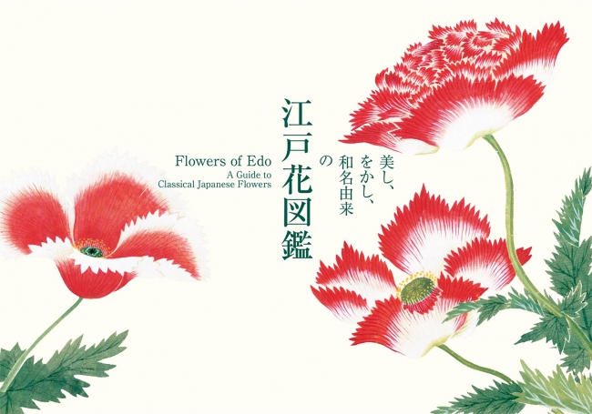 江戸時代のボタニカルアートを再現した 「美し、をかし、和名由来の江戸花図鑑」が登場