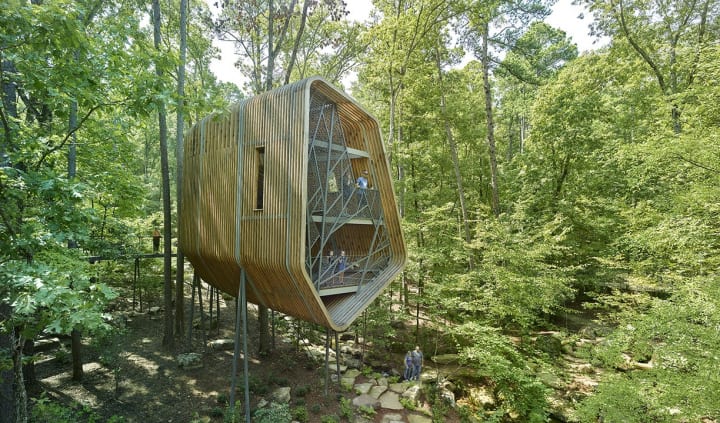 米アーカンソーの庭園に「木の家」が誕生 子どもを森の自然に誘うデザイン