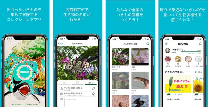 京都大学発のスタートアップ「バイオーム」 いきものコレクションアプリ「BIOME」をリリース