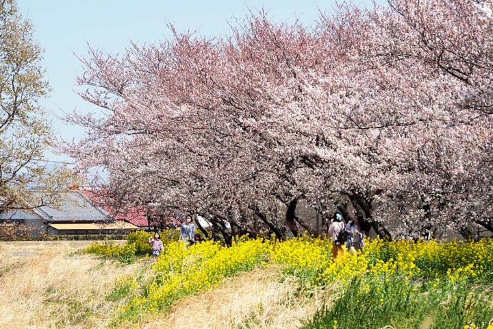 廃棄物と環境の問題に向き合い、生活を楽しむきっかけに