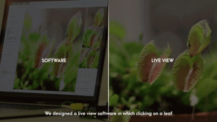 MIT Media Labのプロジェクト「Cyborg Botany」 植物をセンサーやアクチュエータにして人間とコミュニケー…