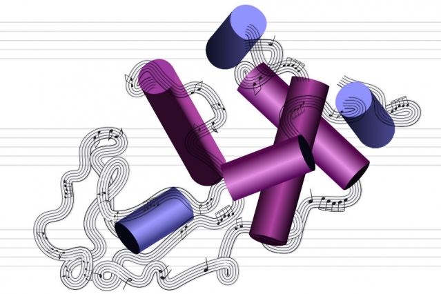 タンパク質が音楽を奏でる！？ MIT研究チームがアミノ酸の配列を音楽のシークエンスに変換