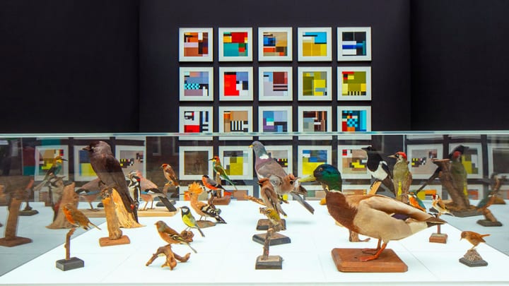 ヨーロッパに生息する25種類の鳥がモチーフ カラフルなイラストコレクション「BLOCBIRDS」