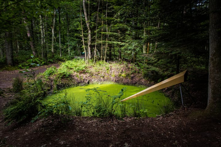 電子を放つ微生物を使った光のインスタレーション Teresa van Dongenによる「Mud Well」