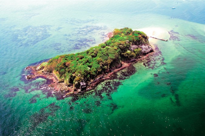 東京湾に浮かぶ夜の無人島が舞台のアートイベント 「Sense Island －感覚の島－ 暗闇の美術島」が開催