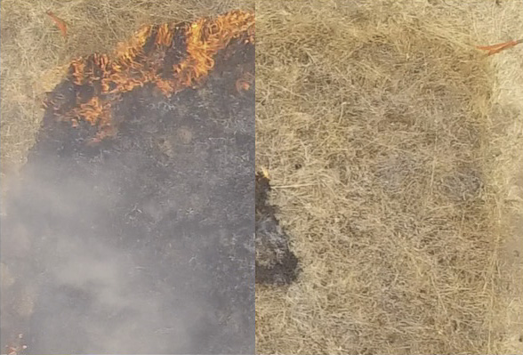 山火事を長期間・効果的に予防するには？ スタンフォード大学が難燃性のゲル状液体を開発