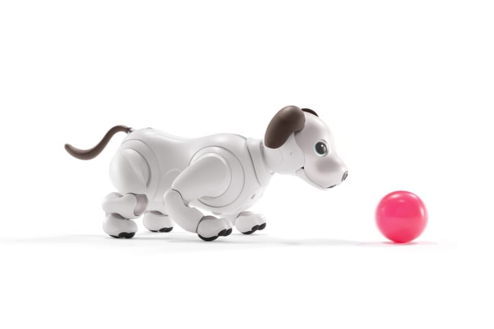 ソニーが「aibo」のソフトウェアAPIを一般公開 aiboの感情を尊重したプログラミングが楽しめる