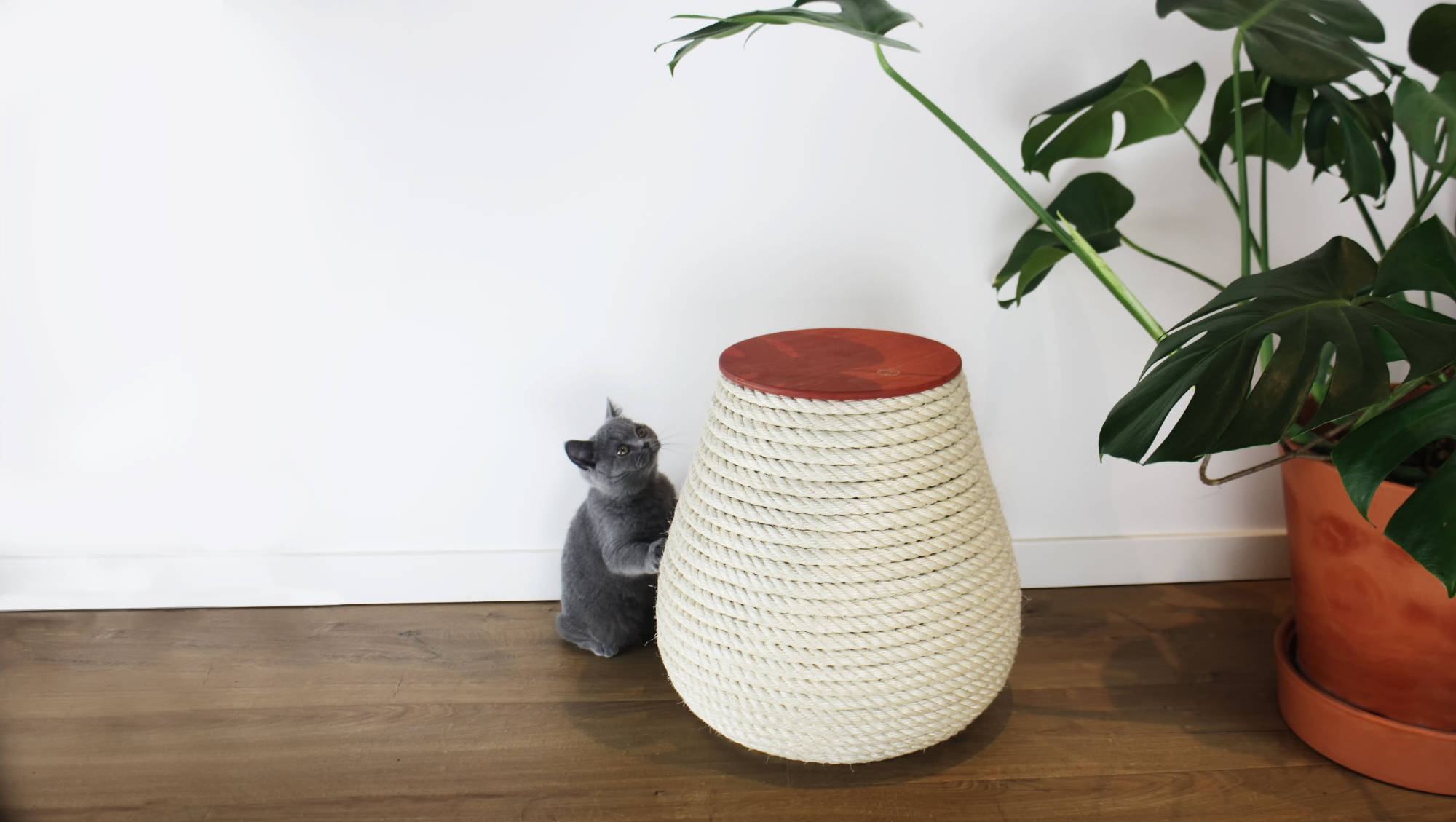 猫と人間のことを考えたスツール ベルギーのデザインユニット・Krab