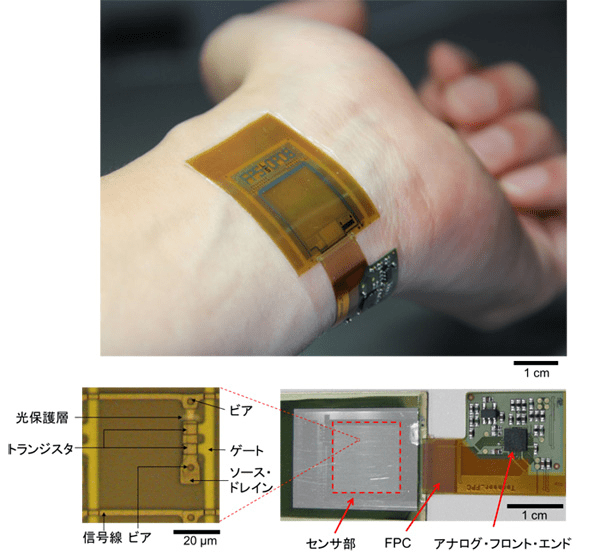 東京大学とジャパンディスプレイがシート型イメージセンサーを開発 1枚のセンサーで生体認証とバイタルサ…