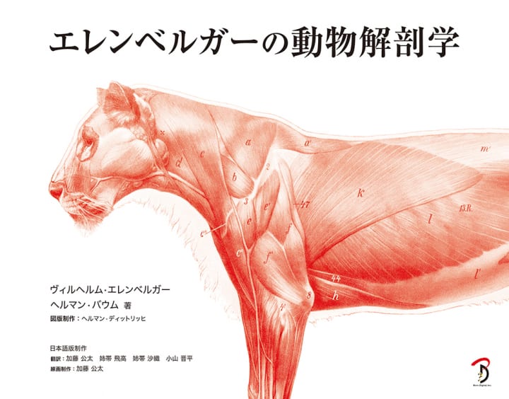 100年を超えて愛される古典名著が復刻 「エレンベルガーの動物解剖学」が刊行