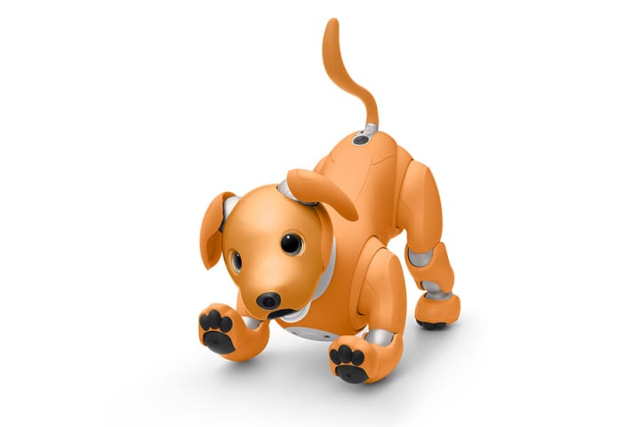 「aibo キャラメル エディション」が登場 優しさや温もりを感じさせる限定カラーモデル