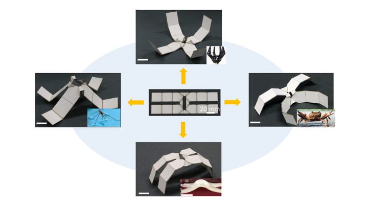 アメリカの大学が熱に反応して形を変えるシートを開発 「切り紙」の技術をヒントに2Dから3Dへ変形