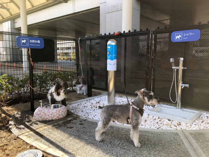 大阪国際空港内に「愛犬専用トイレ」が登場 国内空港初、搭乗前にストレス軽減