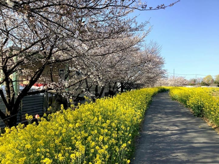 ウィルスと環境問題