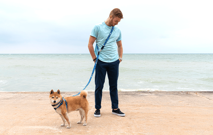 犬の散歩中に両手が自由になる 英ペットブランドhiro Wolfの ハンズフリーリード Webマガジン Axis デザインのwebメディア