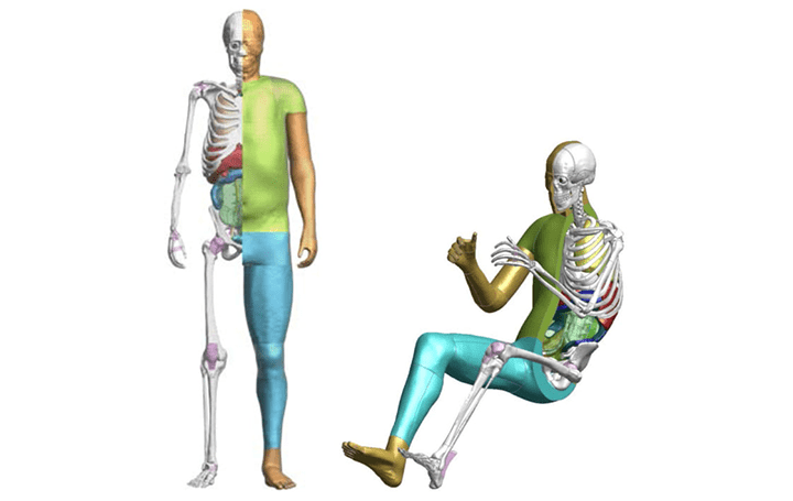 トヨタ、車両の安全技術の研究を目的に 事故における人体傷害のバーチャルモデル「THUMS」を公開