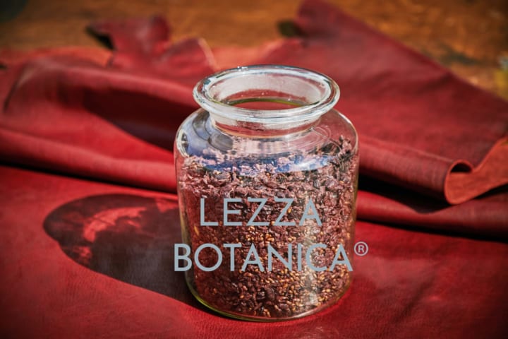 ブドウなどの植物の副産物を再活用した サステナブルレザー「LEZZA BOTANICA」