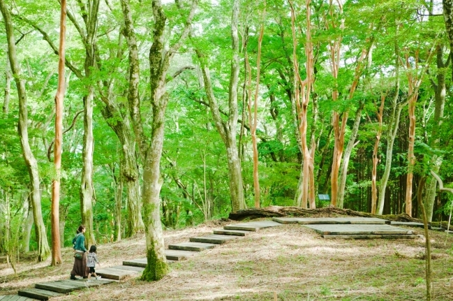 ポーラ美術館の屋外「森の遊歩道」の美しさを表現 Susan Philipszによるサウンド・インスタレーション「Wi…