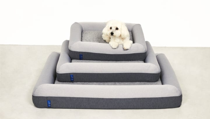 犬の睡眠と健康のために開発された 犬用ベッド「guguドギー」