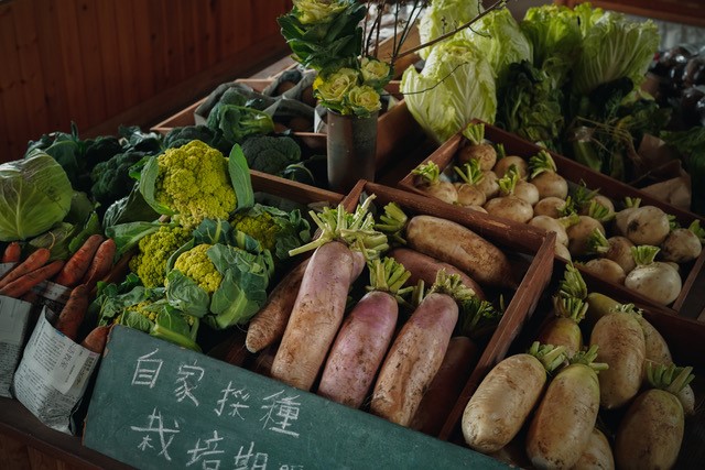 長崎・雲仙を舞台に、在来種の野菜に着目した オンライン展示「種を蒔くデザイン展」