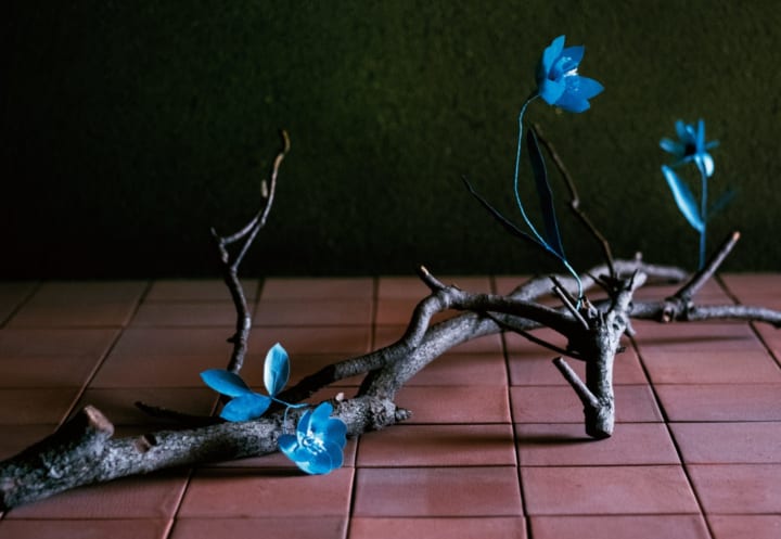 淡路島で香り・藍・紙の花のインスタレーション 「Definition of symbiosis」展