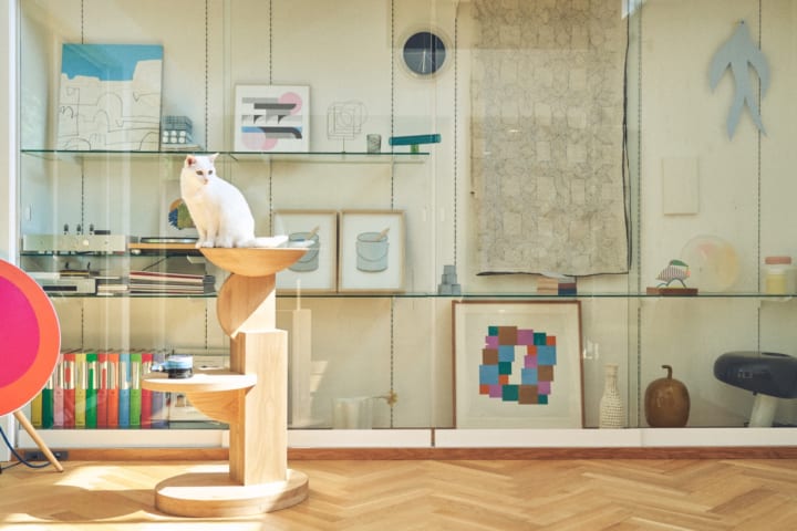猫とコミュニケーションをとるために 飛驒産業らが猫家具「medel」を設計