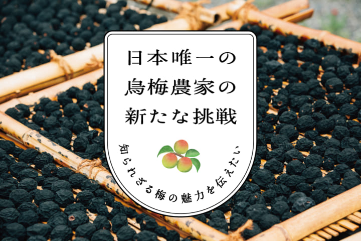 古来から重宝された「烏梅」から 口紅を開発するプロジェクトが開始