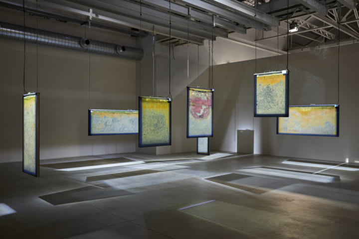 現代アーティスト アニカ・イーの展覧会「Metaspore」 「増殖」のプロセスをメタフォリカルに表現