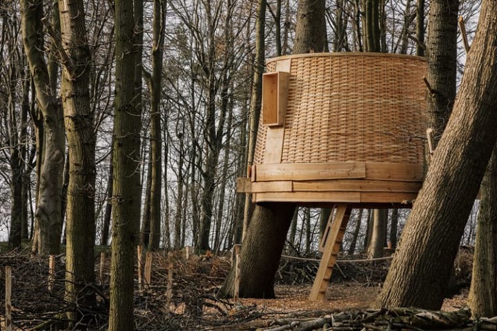 森を見守るためのツリーハウス セバスチャン・コックスの「Silvascope」