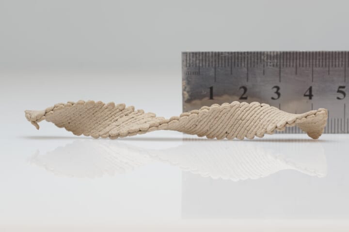 3Dプリンタで木工品が作れる！？ イスラエルの大学が新しいインクと印刷技術を開発