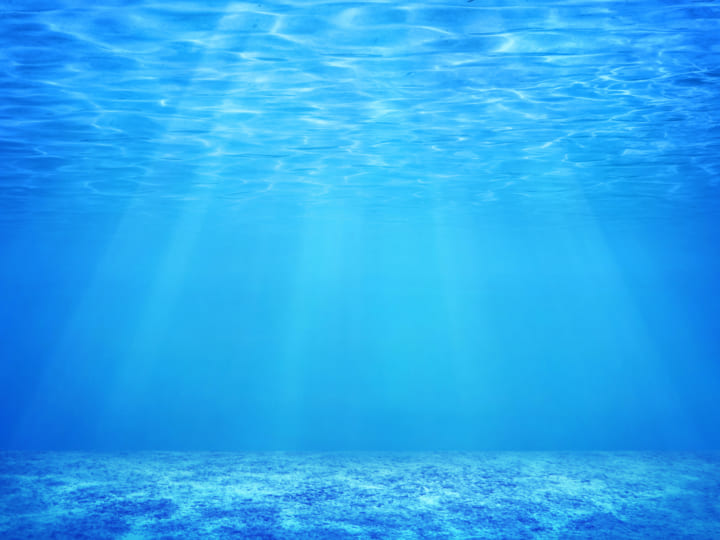 深海堆積物に住む生物の分布が明らかに！？ 東大が海底面下を調査する技術を開発