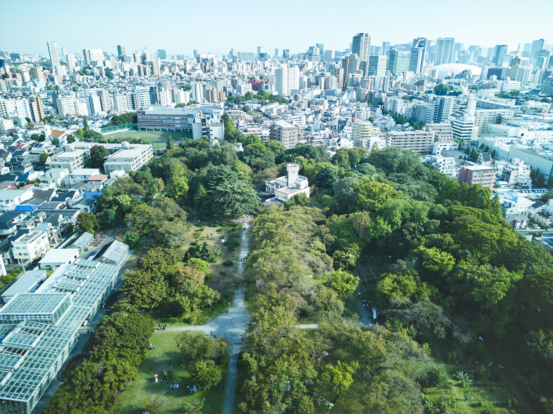 Amazon.co.jp: 創宇社建築会の時代――戦前期都市文化のゆくえ