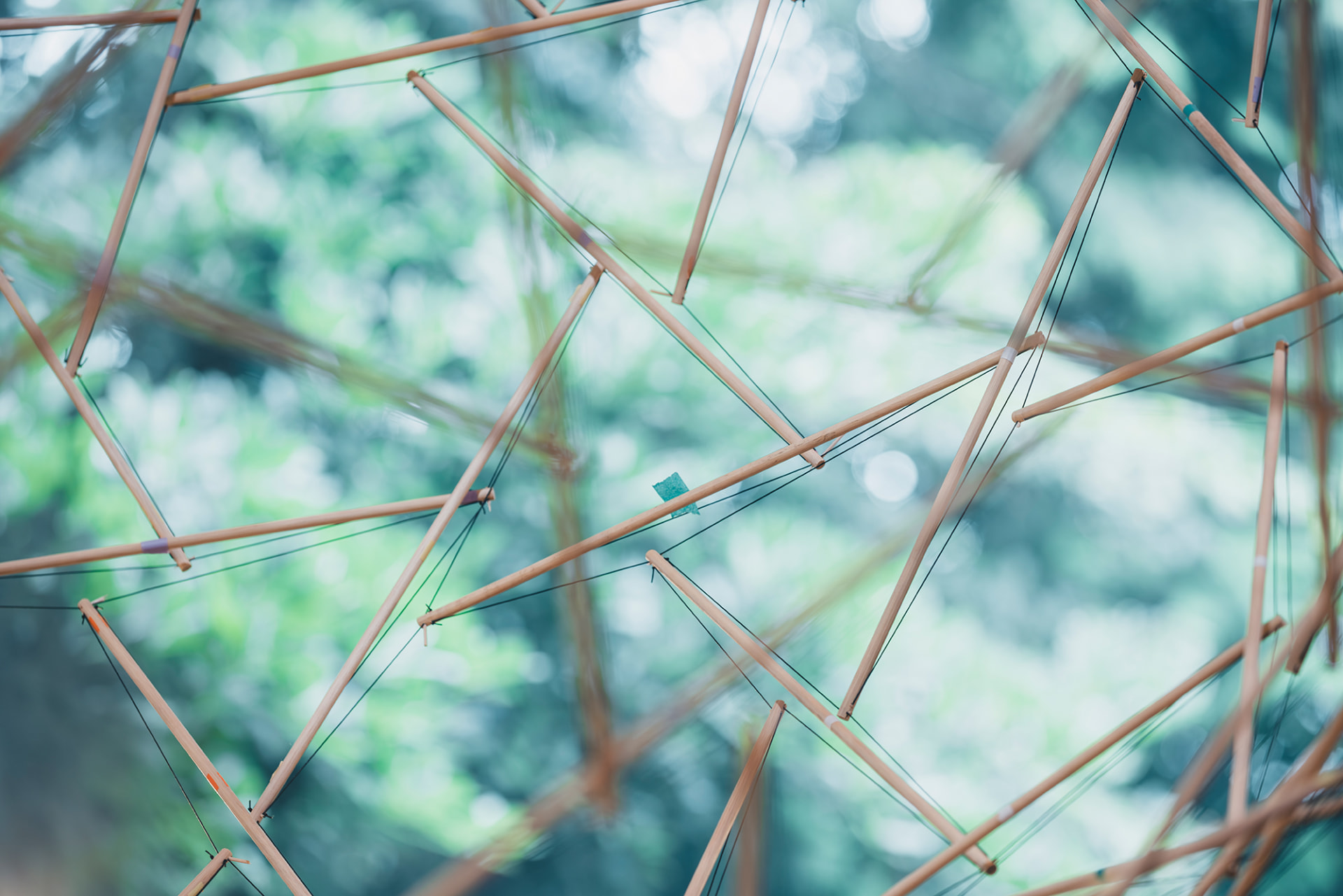 やわらかな幾何学構造を着る HOMME PLISSÉ ISSEY MIYAKEとバック