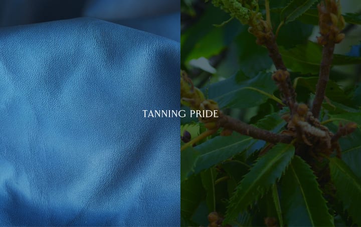 レザーの持続可能性をNFTで証明する 兵庫・姫路のプロジェクト「Tanning Pride」