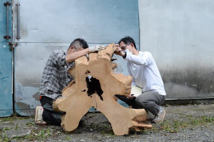 「森のヘンテコ素材」に出会うツアー 「東京チェンソーズのまるごと山開き」開催