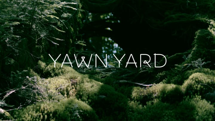 日本各地に「泊まれる庭」を作る 宿泊拠点ブランド「YAWN YARD」誕生