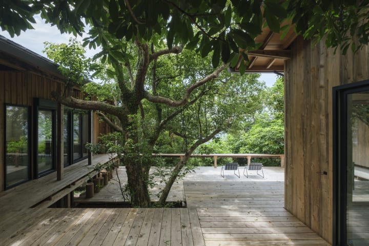 屋久島でリジェネラティブ建築を実践した tonoが設計した「Sumu Yakushima」