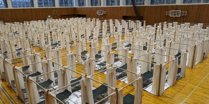 建築家・坂茂による「紙の間仕切りシステム」 能登半島地震の被災者支援に提供