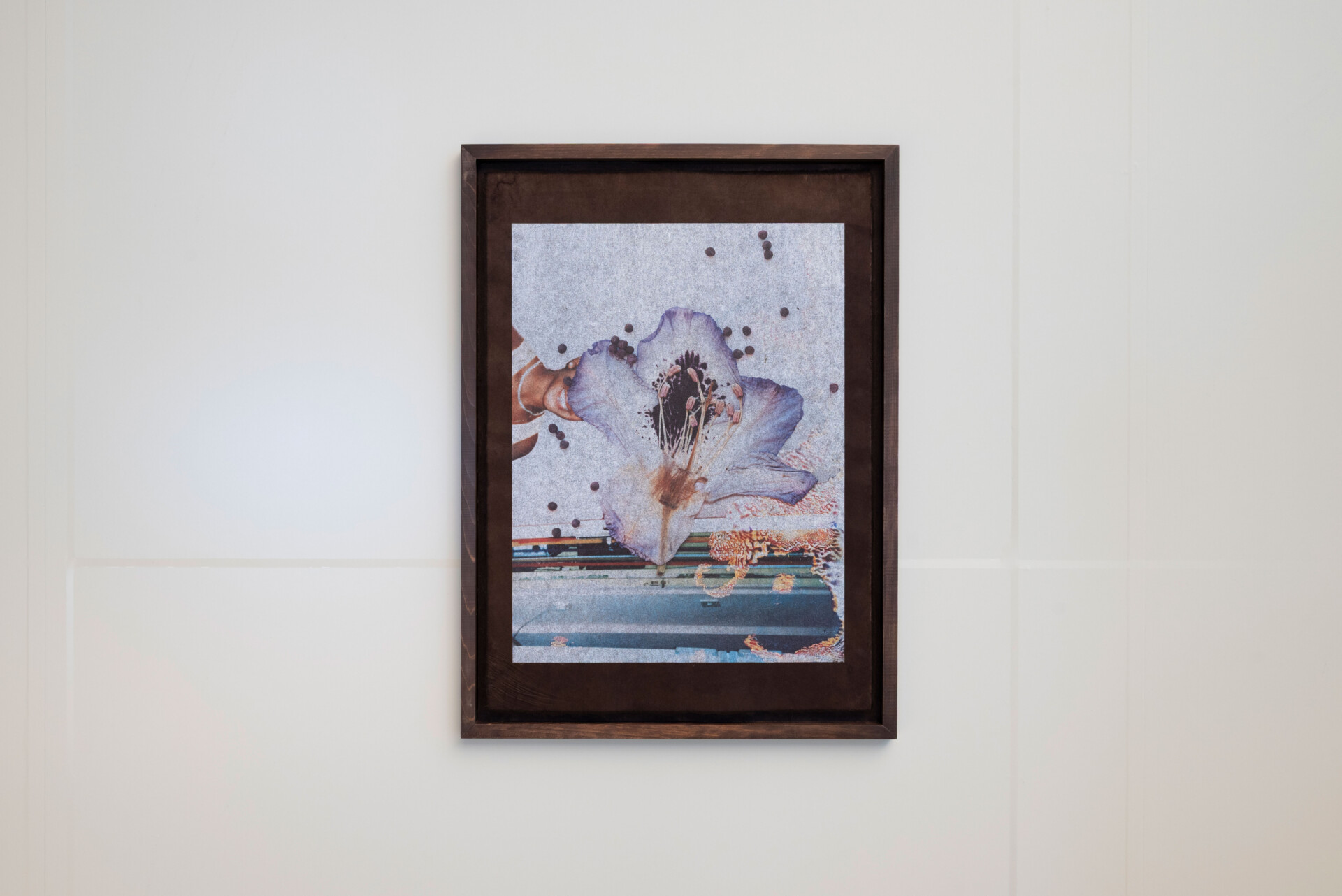 webStephen-Gill_Hackney-