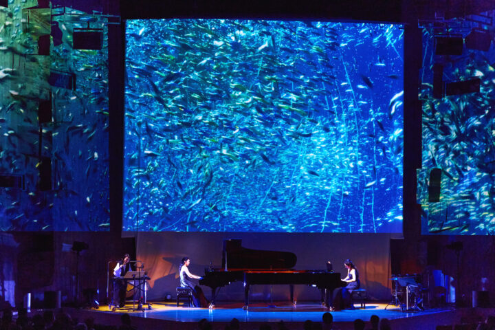 サン＝サーンス『動物の謝肉祭』より第7曲「水族館」の演奏風景。
